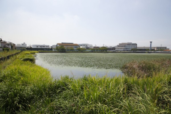 駅ヶ池